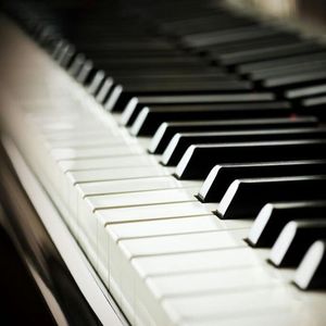 黄色成人18禁视频免费观看无码网站
