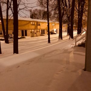 外网每日大赛视频
