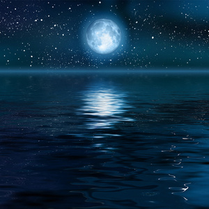 温柔的遗孀希岛爱理
