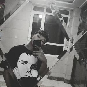 中国洞房电影免费观看2023年
