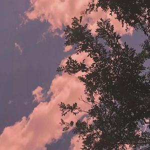 沈樵七旬老农电影免费观看高清
