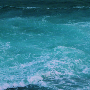 外国军人同性zozo强交视频
