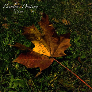 两人做爱动作片
