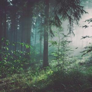 中国洞房电影免费观看2023年
