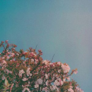 亚洲AV在线观看美女高潮
