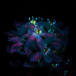 国产激爽大片在线观看
