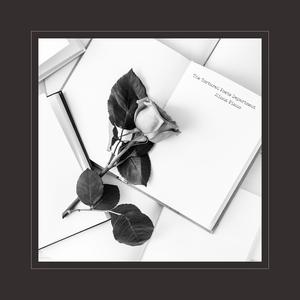 嫩草影院发布页
