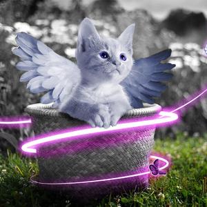 俄罗斯综合偷窥图
